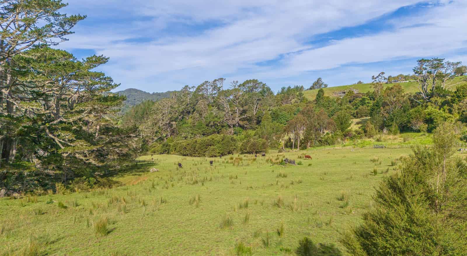 10 Kraack Road, Warkworth, Rodney For Sale realestate.co.nz