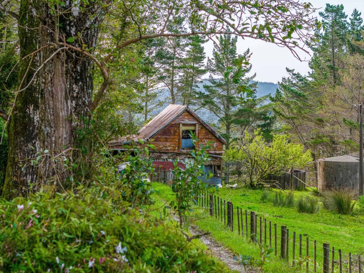 Warkworth Sections for Sale realestate.co.nz