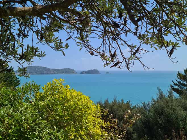 1114 Colville Road, Coromandel