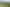 619 Pinfold Road, Woodville