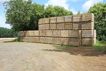 Some of Pukekohe’s finest cropping land