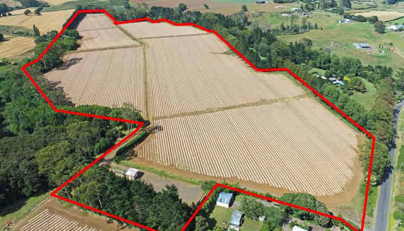 53 Parker Lane, Buckland