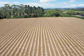 Some of Pukekohe’s finest cropping land