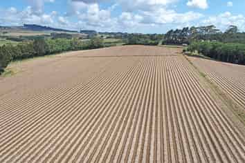 Some of Pukekohe’s finest cropping land