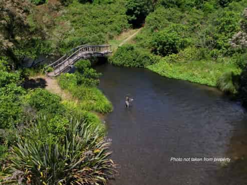 20 Mill Road, Waitahanui