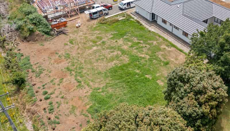 21B Portland Drive, Mangorei