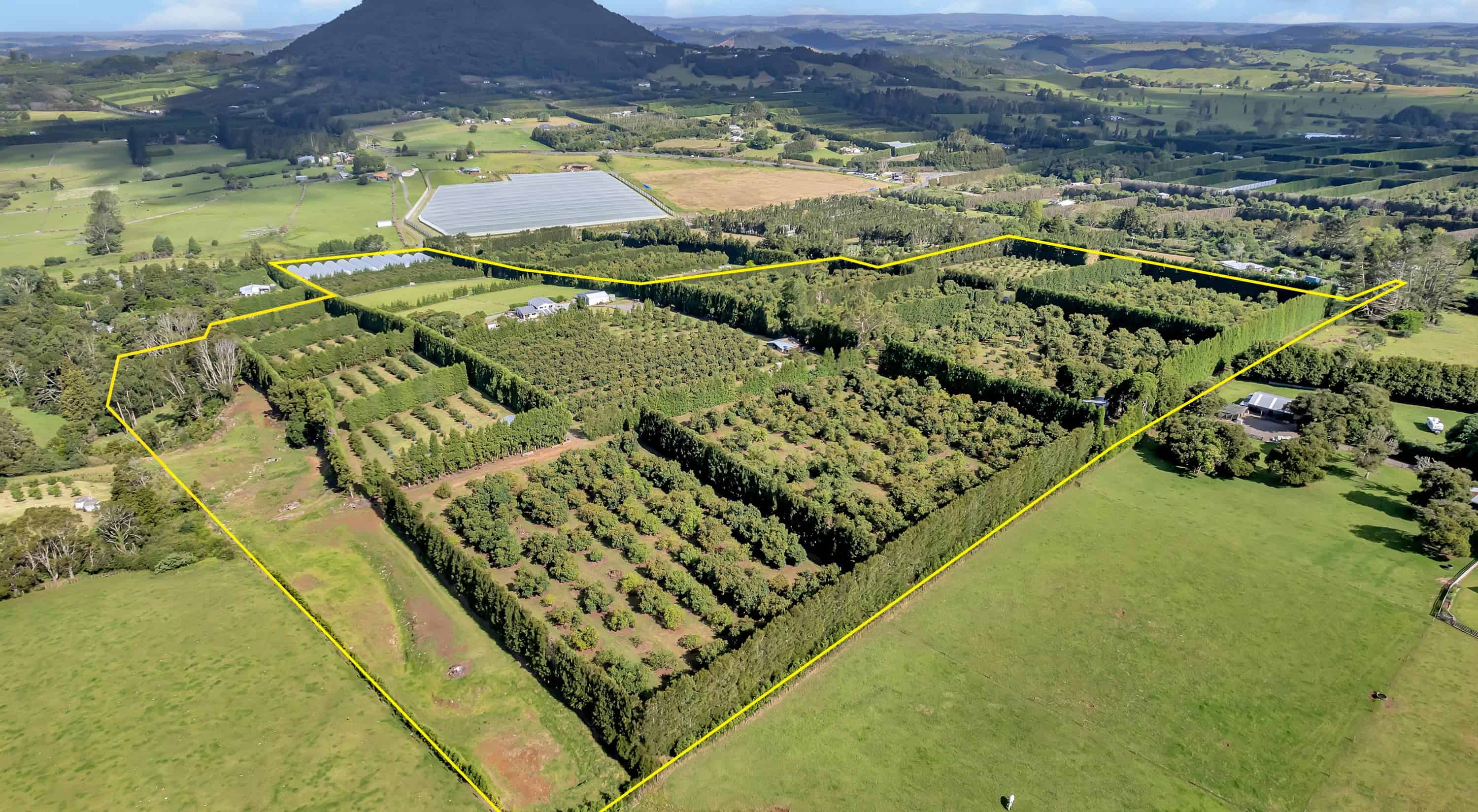 65 Tatton Rd, Maungatapere, Whangarei For Sale realestate.co.nz