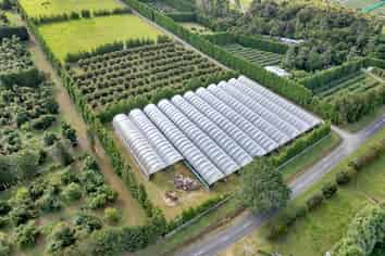 65 Tatton Rd, Maungatapere