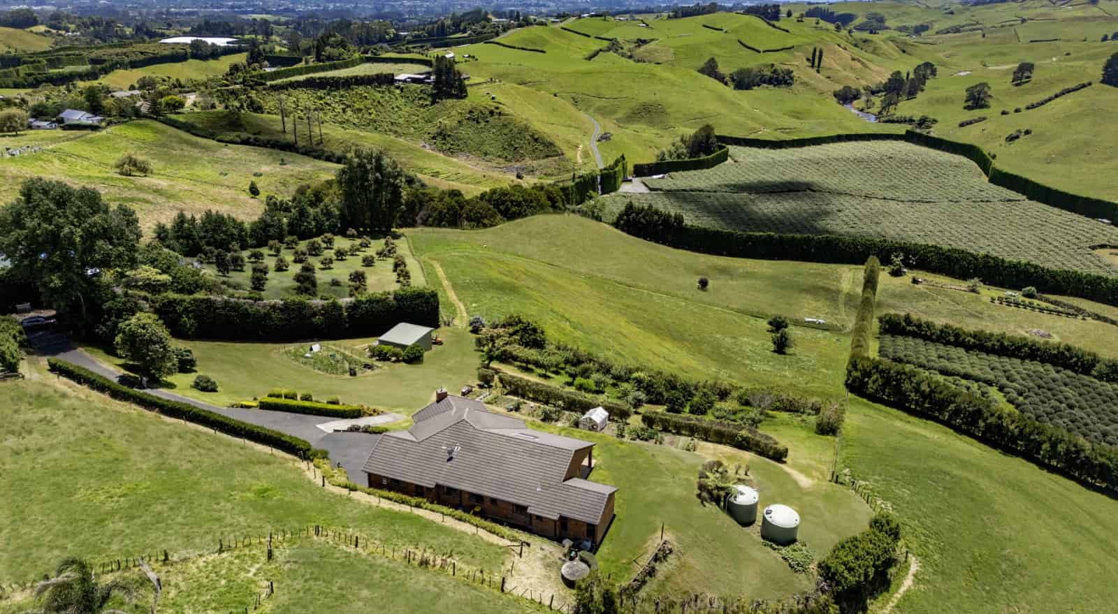 151D Hereford Road, Oropi, Tauranga For Sale realestate.co.nz