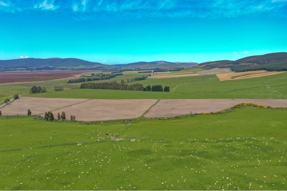 409 Castle Downs Road, Dipton, Southland For Sale realestate.co.nz