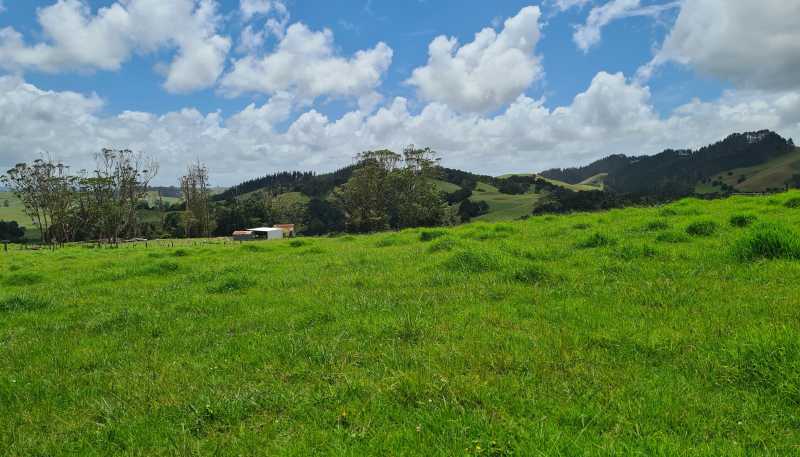  Millbrook Road, Waipu