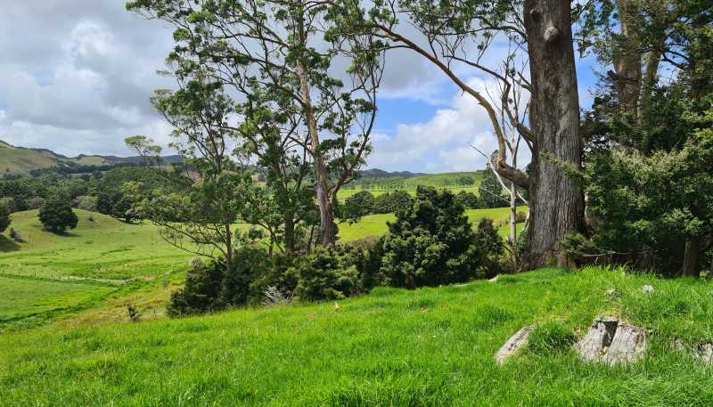  Millbrook Road, Waipu