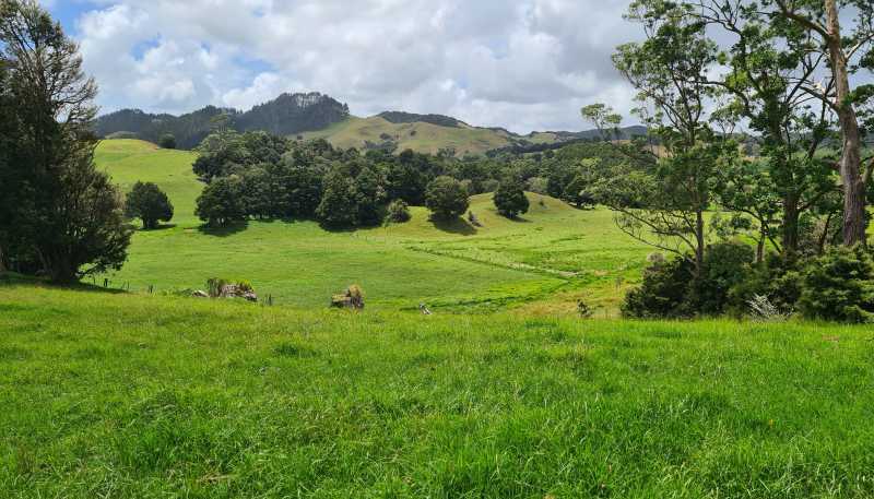  Millbrook Road, Waipu