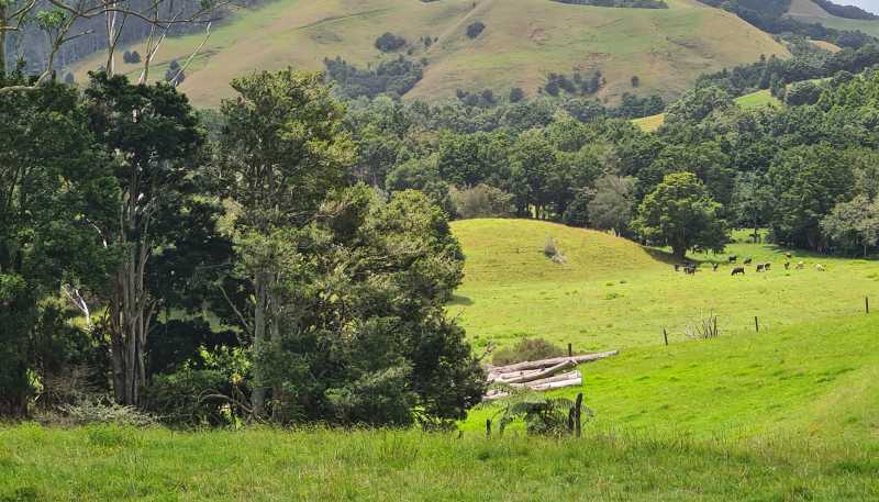  Millbrook Road, Waipu