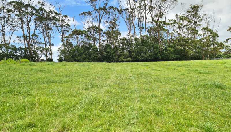  Millbrook Road, Waipu