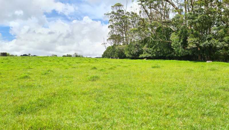  Millbrook Road, Waipu