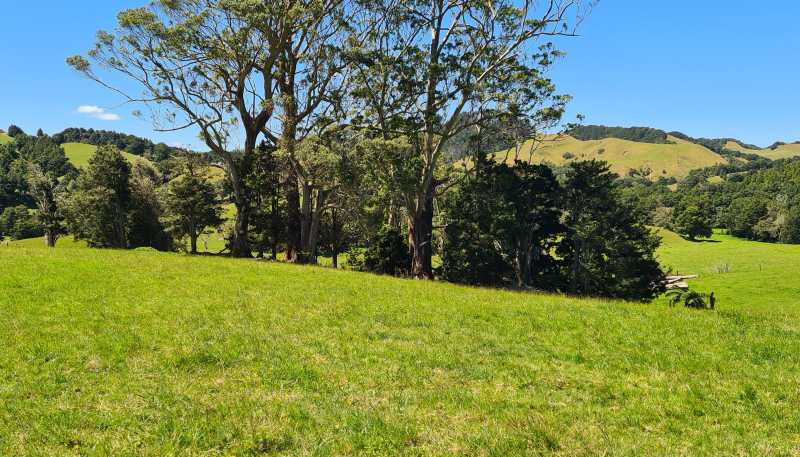  Millbrook Road, Waipu