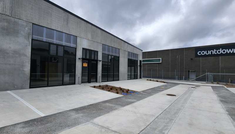 17/20 William Earp Place, Tawa