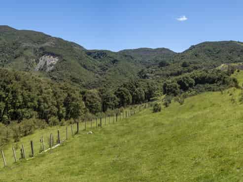 419 Kaiwaka Road, Martinborough