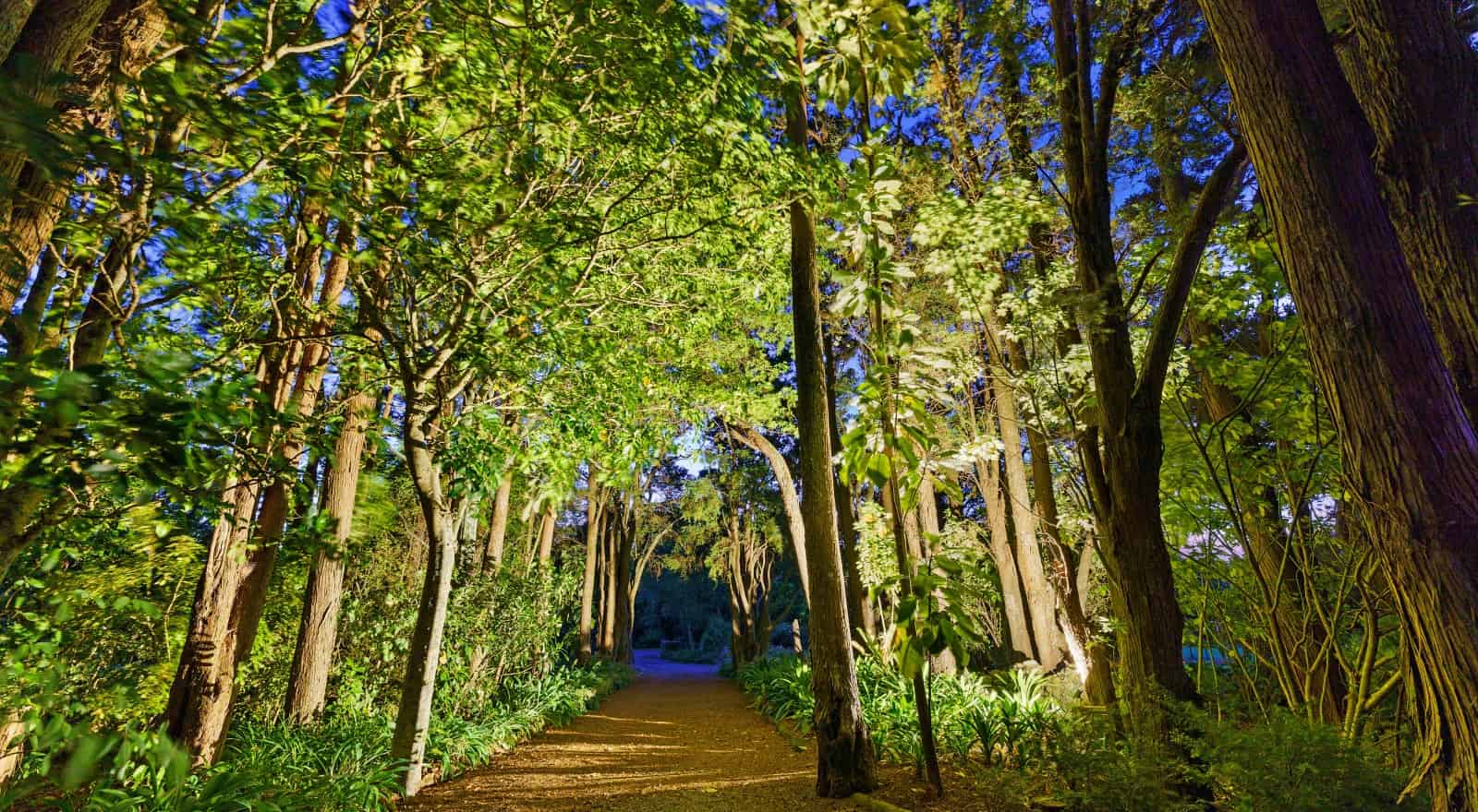 423 Otaki Road, Te Horo, Kapiti Coast For Sale realestate.co.nz
