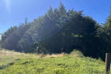 471 State Highway 7, Kaiata