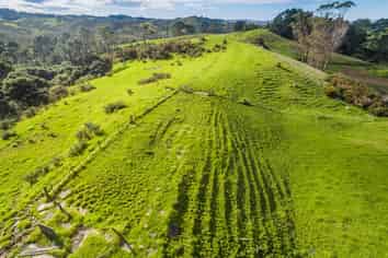 Lot 1/418 Blackbridge Road, Dairy Flat