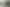 Blank Canvas - Prime Location