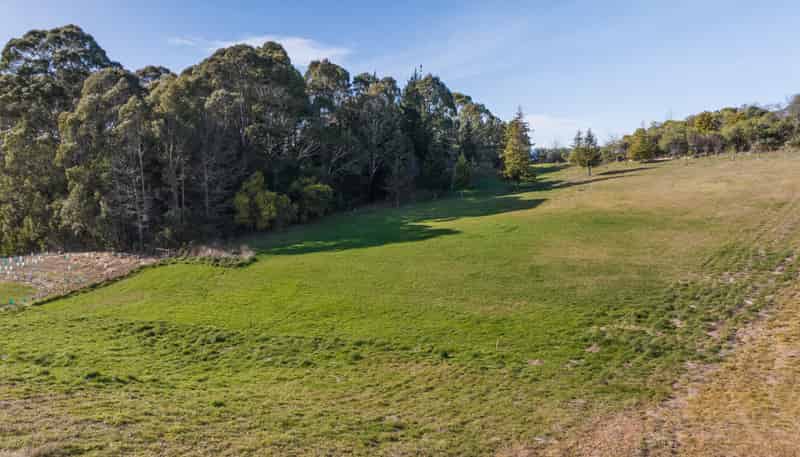 17 Pippin Lane, Mapua