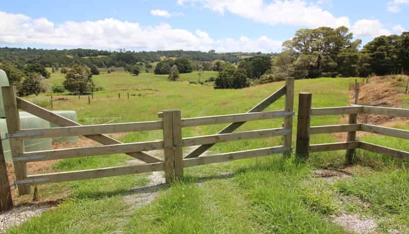 818B Waimate North Road, Kerikeri