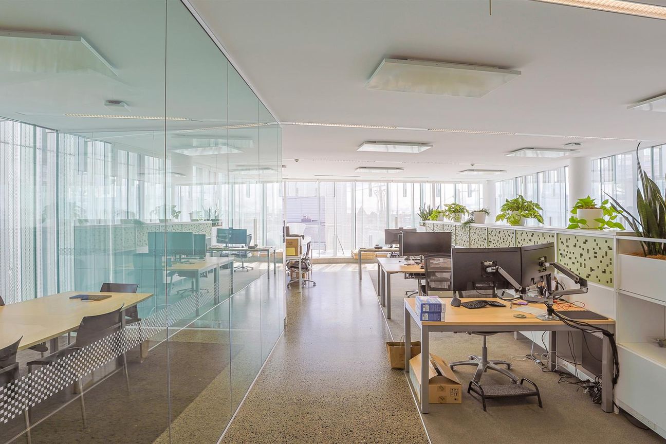Striking Parnell Suite with Seven Parks - Aanzicht 3