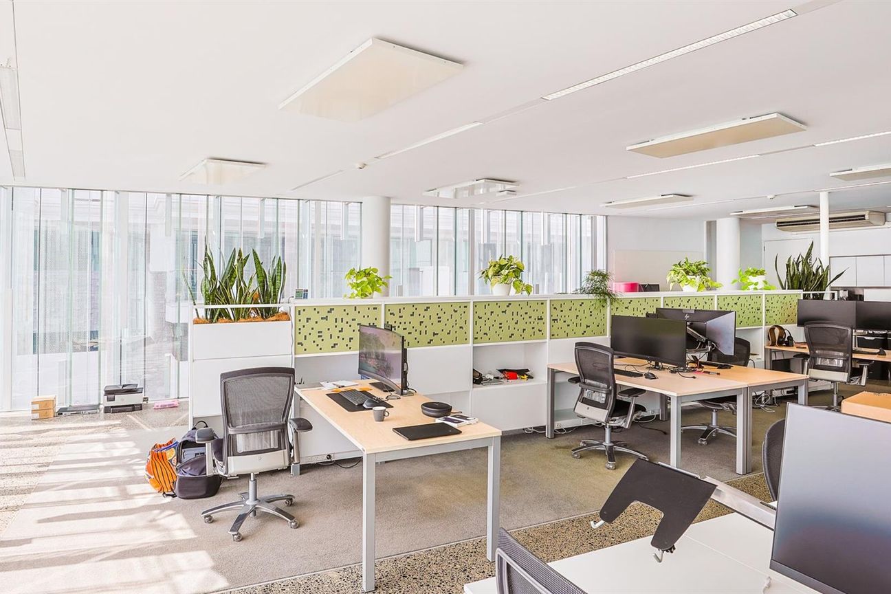Striking Parnell Suite with Seven Parks - Aanzicht 2