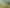 315 Highland Drive, Acacia Bay