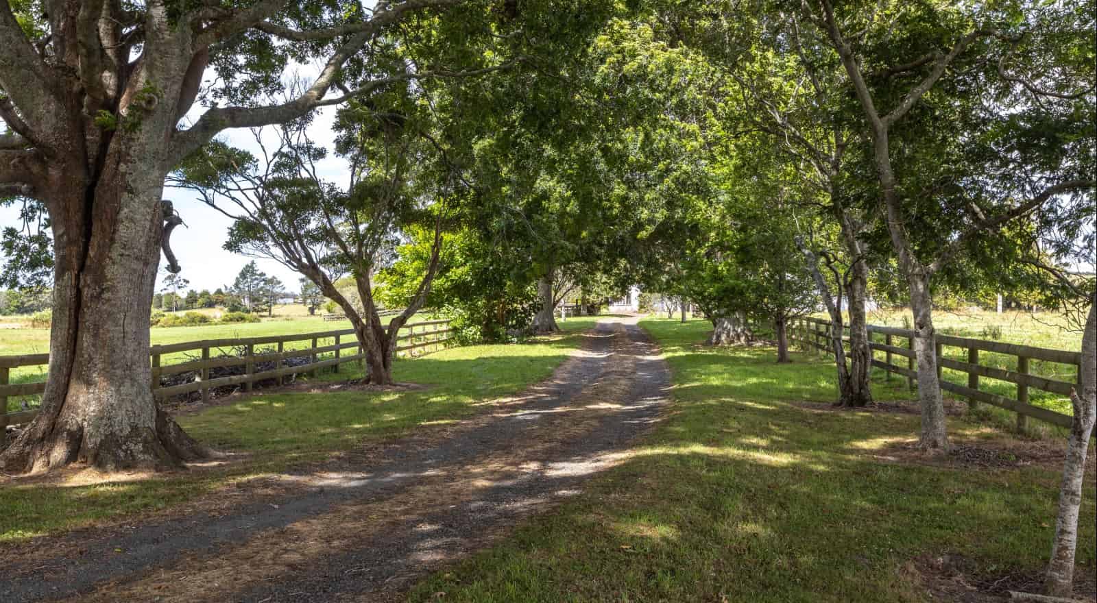 For sale Lots 2, 3 and 20, 21, 288 Waitoki Road, Waitoki realestate.co.nz