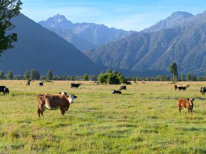 298 Cook Flat Road, Fox Glacier