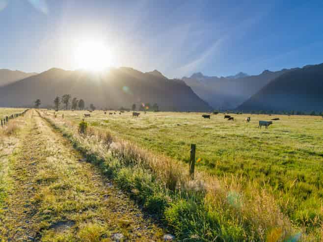 298 Cook Flat Road, Fox Glacier