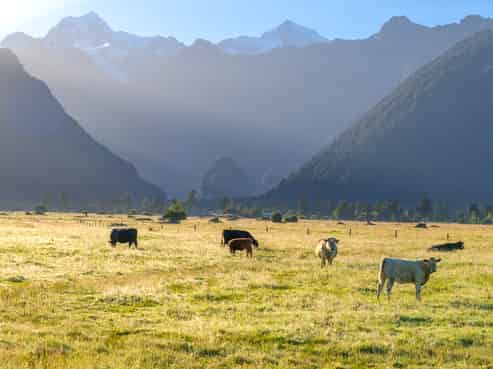 298 Cook Flat Road, Fox Glacier