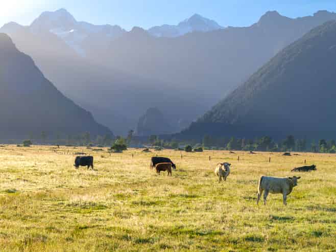 298 Cook Flat Road, Fox Glacier