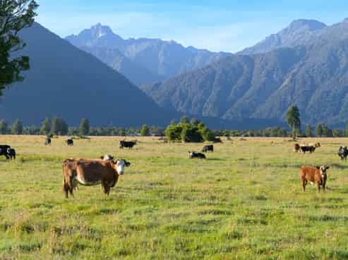 298 Cook Flat Road, Fox Glacier