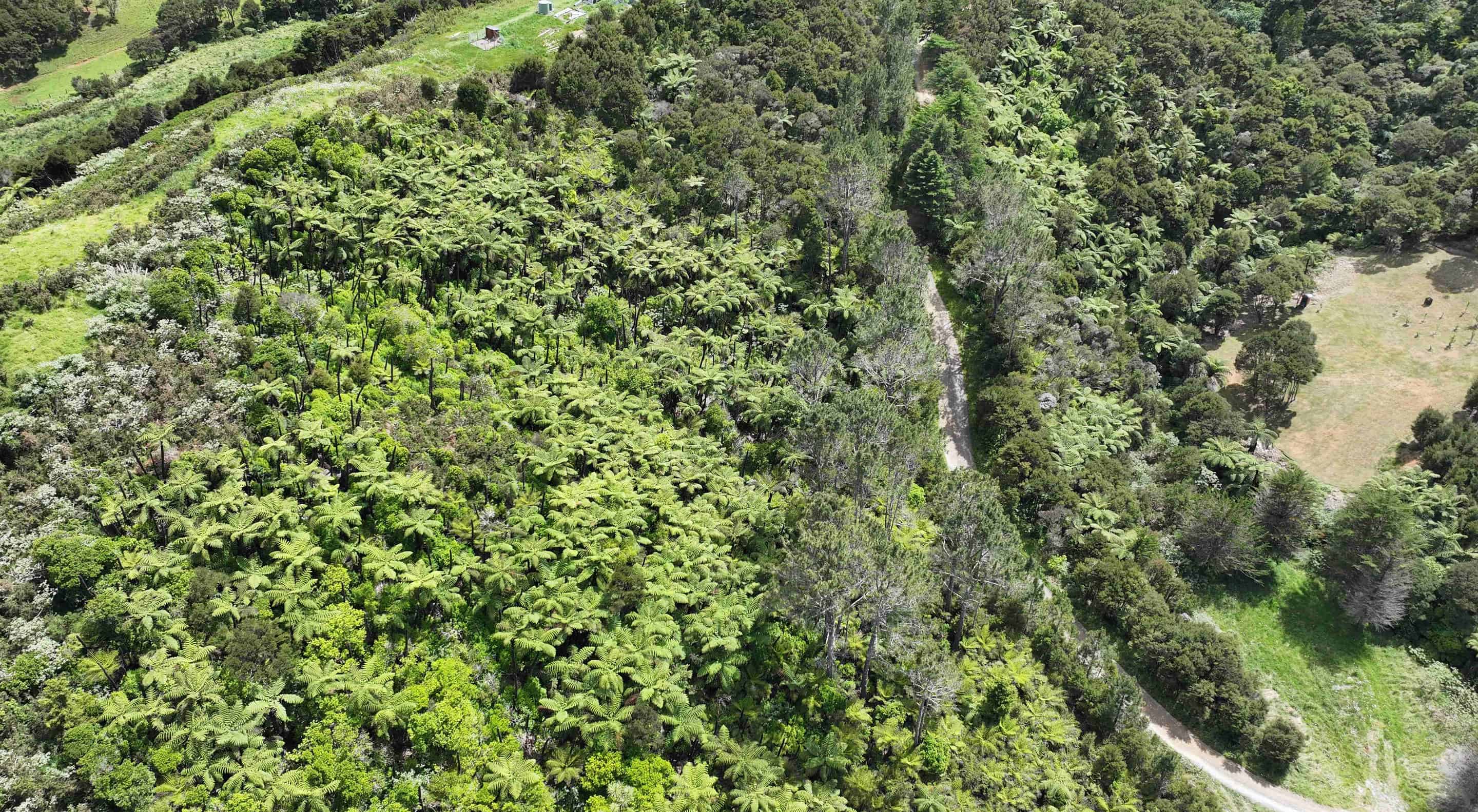 113A Taemaro Road, Hihi, Far North For Sale realestate.co.nz