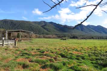 Lot 4 SH 65, Reefton