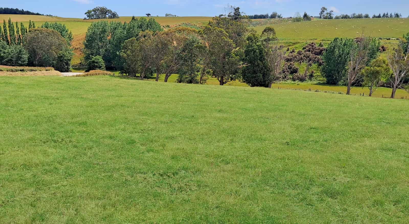 Lot 41 McKay Road, Balclutha, Clutha For Sale realestate.co.nz
