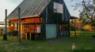 Open gallery