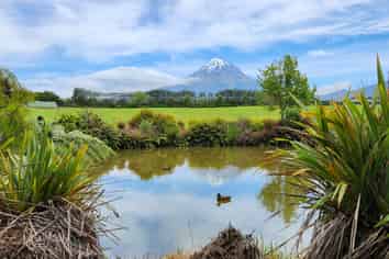 1918 Egmont Road, Kaimiro