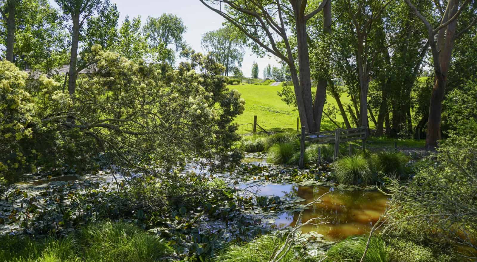 46 Moorfield Road, Te Kauwhata, Waikato For Sale realestate.co.nz