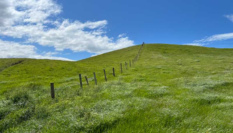 365 Caseys Road, Blenheim Central