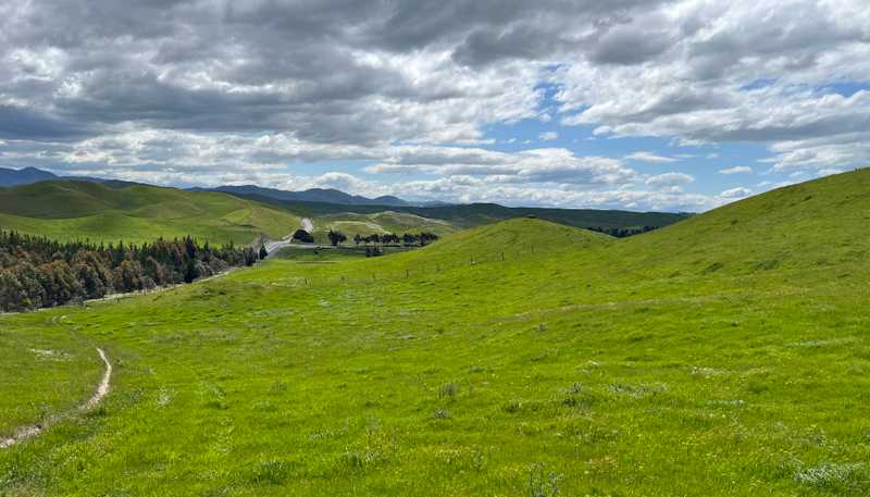 365 Caseys Road, Blenheim Central