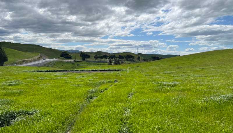 365 Caseys Road, Blenheim Central