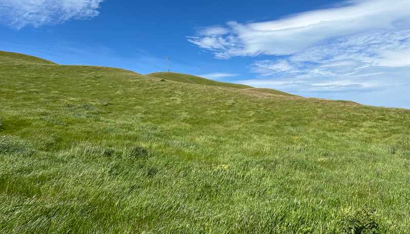365 Caseys Road, Blenheim Central