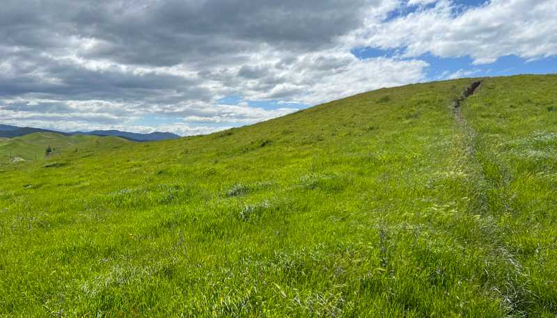 365 Caseys Road, Blenheim Central