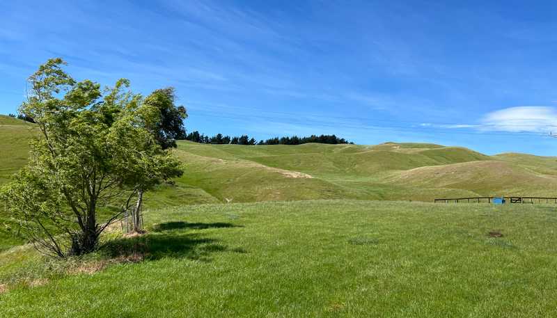 365 Caseys Road, Blenheim Central